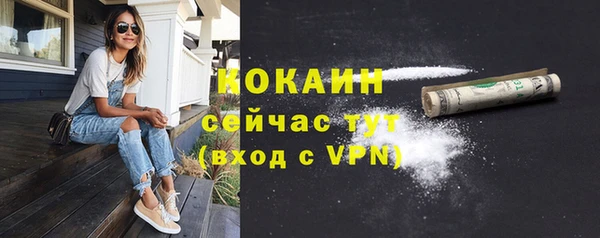 шишки Армянск