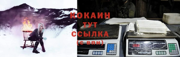 шишки Армянск