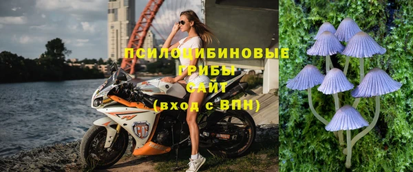 шишки Армянск