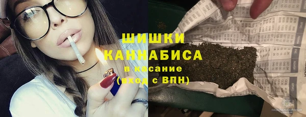 шишки Армянск